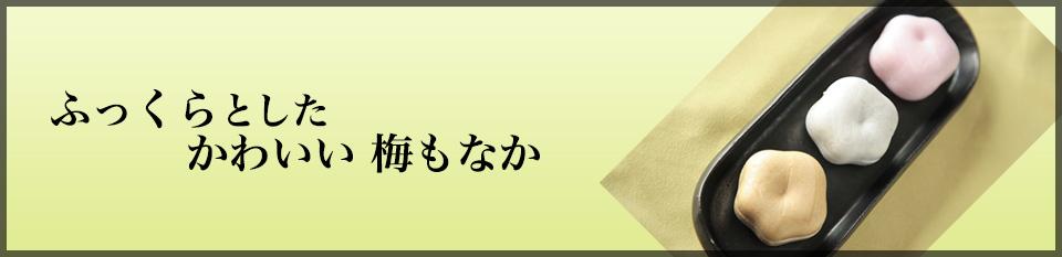 ふっくらとした梅もなか